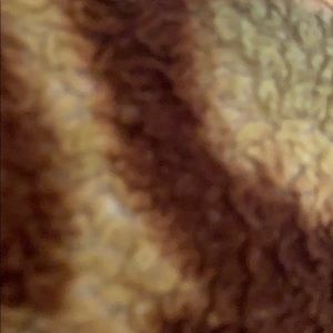 Meet your Posher, Judith